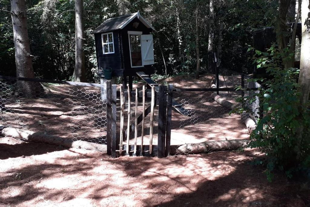 Comfortable In A Unique Location In Forest Chalet *